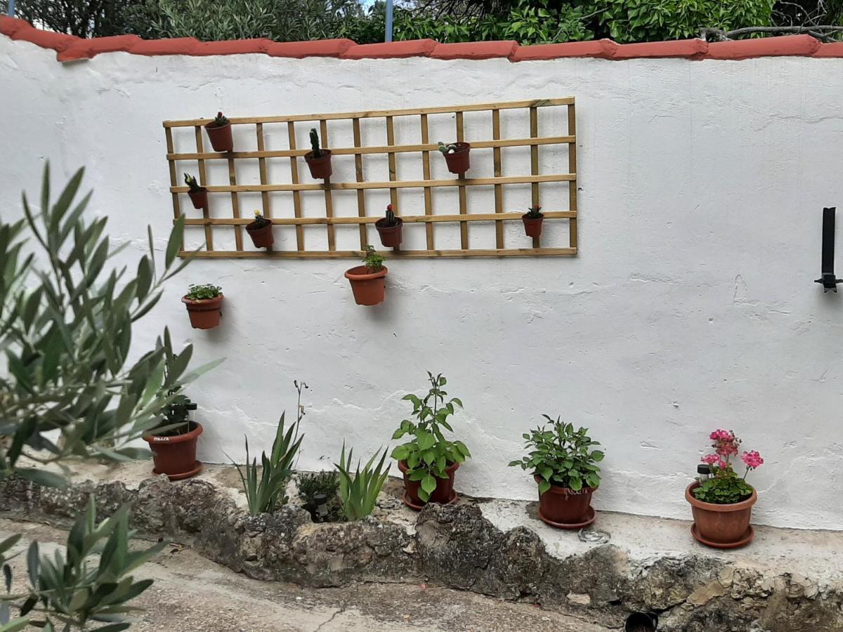 Casa Rural "Eccehomo De Borja" Exterior photo
